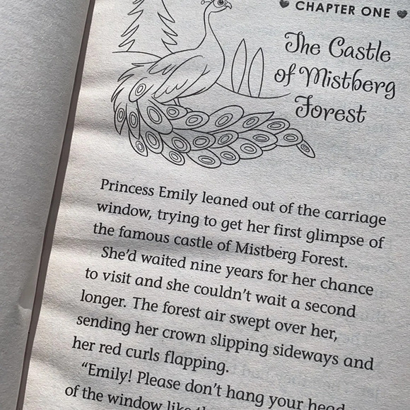 The Rescue Princesses-the secret promise paperback book - Picture 4 of 4